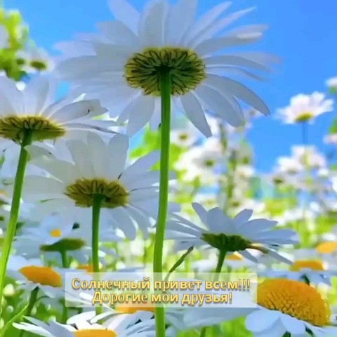Я - Оксана - Талассоконсультант в LOOKY. . Лето... Обожаю лето�...