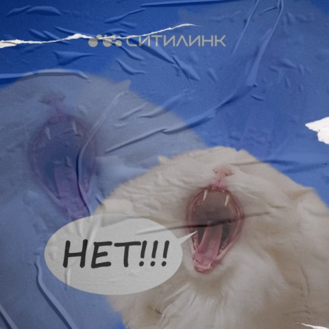 telecomlife51 в LOOKY. #СитилинкМурманск,,#интернетвМурманске,,#тарифыСитилинк,,#подключитьинтернет,,#провайдерыМурманска,,#рейтингпровайдеров. Ситилинк в Мурманске...