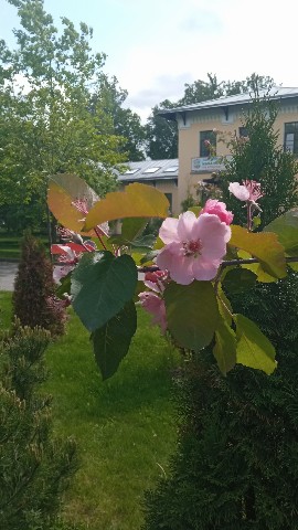 svetalana2.0 в LOOKY. . На прогулке в парке