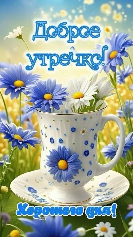  в LOOKY — публикация