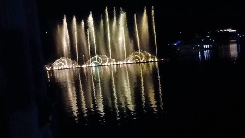 Морской Медвежонок в LOOKY — публикация