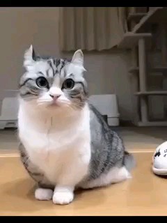 Looky_1700911855186 in LOOKY. . Бананачики