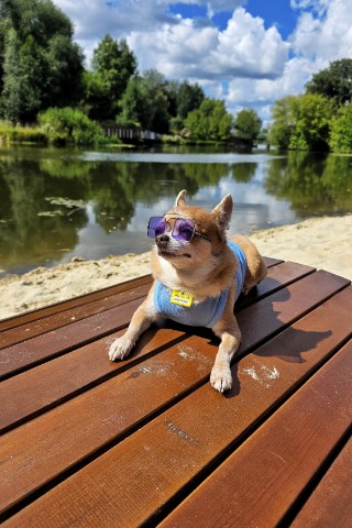 chiwawa.george в LOOKY. . Так-с, кто знает, гд...