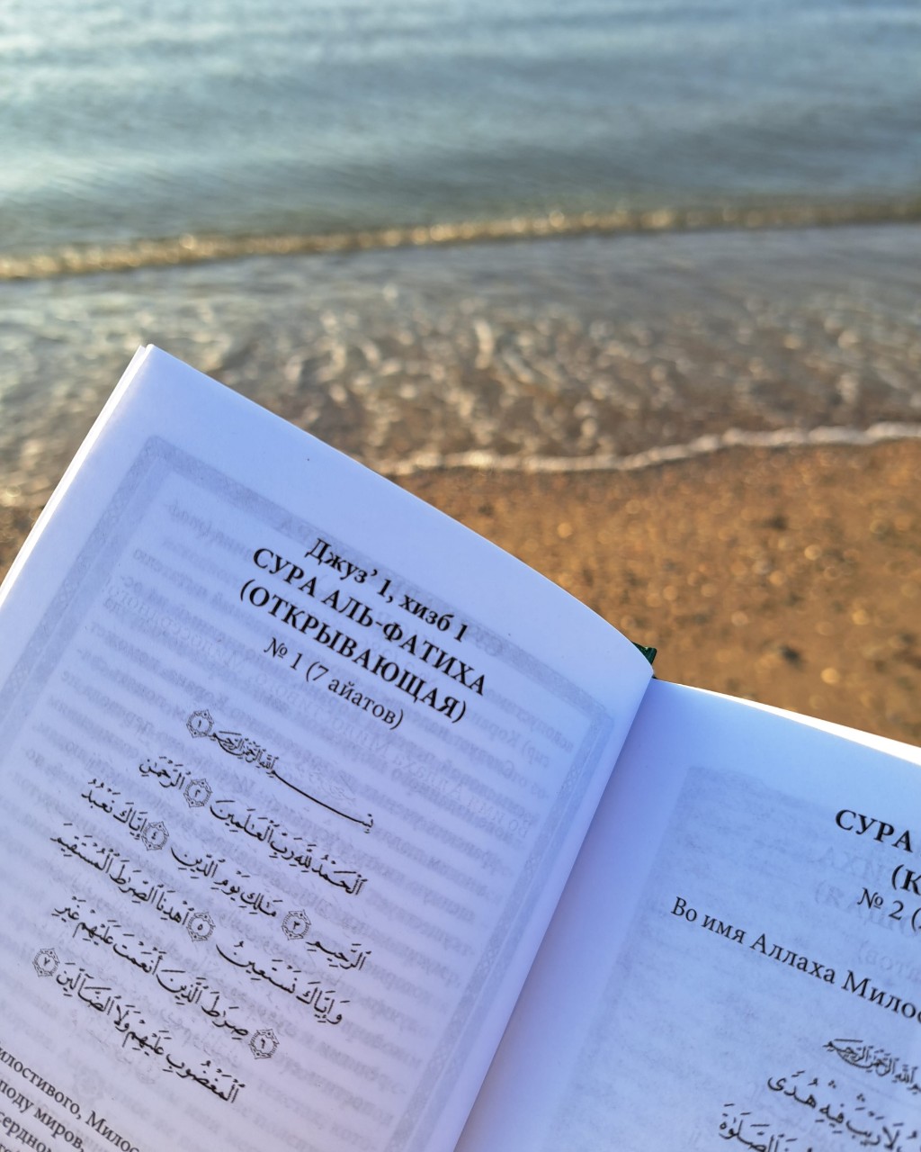 Anna_Znm в LOOKY — Thank you 🤲