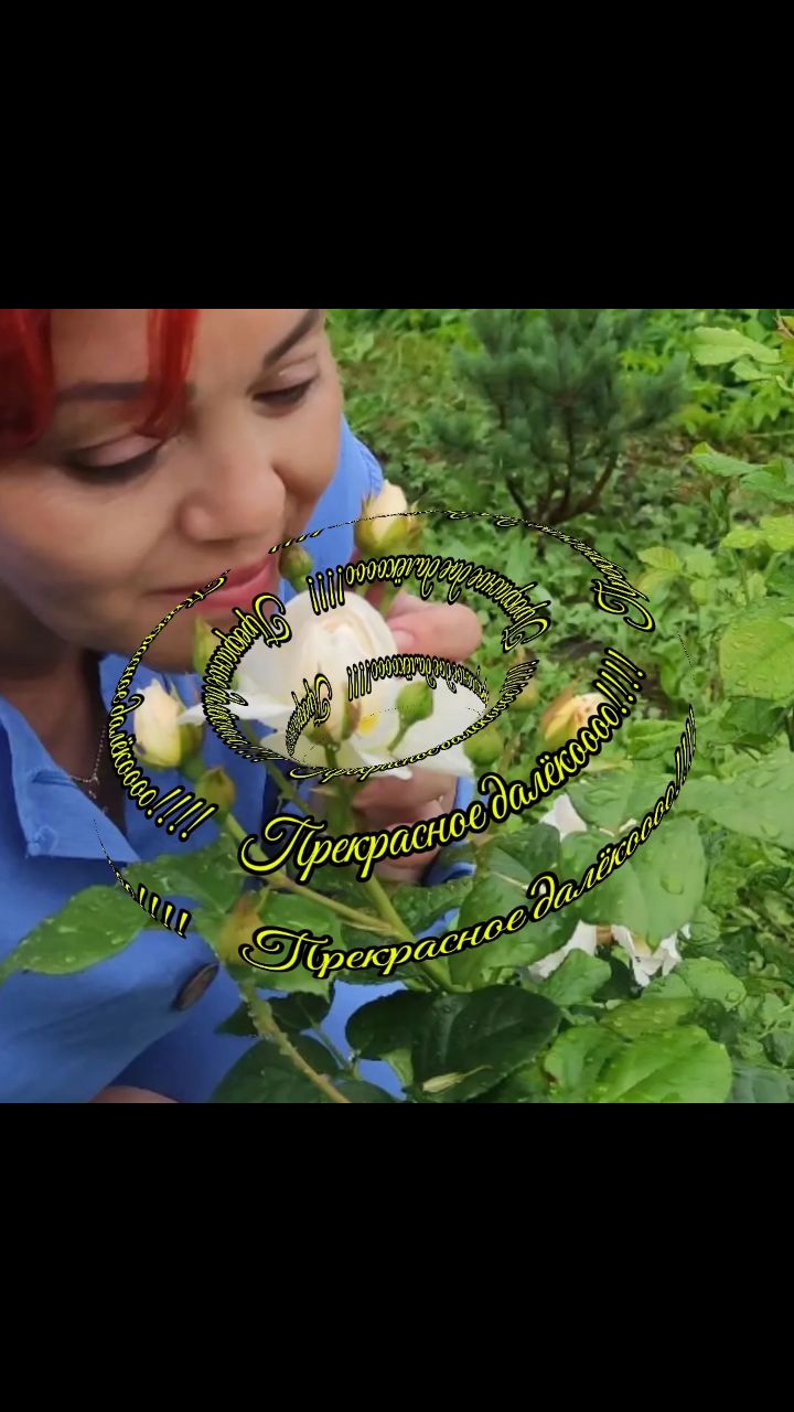 Natalia_Sticker в LOOKY. . «Тестирую новый конц...