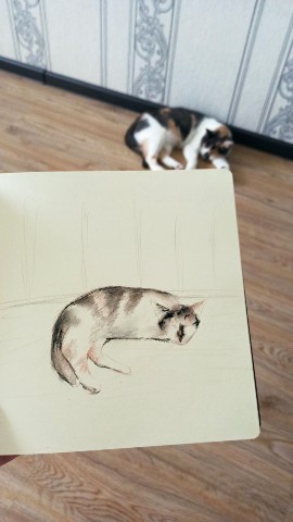 yushaart в LOOKY. #sketch,#cat,#сепия,#сангина,#уголь,#кот,#кошка,#муха. #sketch #cat [#creta...