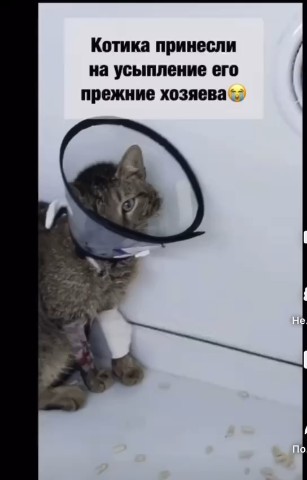 Looky_1674502556711 в LOOKY. . Друзья❗
У нас пополн...