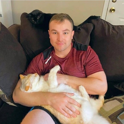 _ricardo_021i в LOOKY. . Cat Daddy ♥️🐈