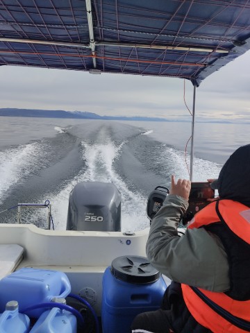 Baikal44 в LOOKY. . 