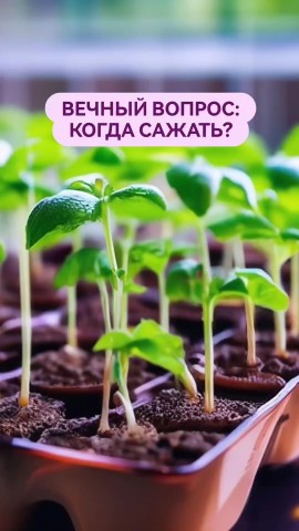 socnyetomaty в LOOKY. . 