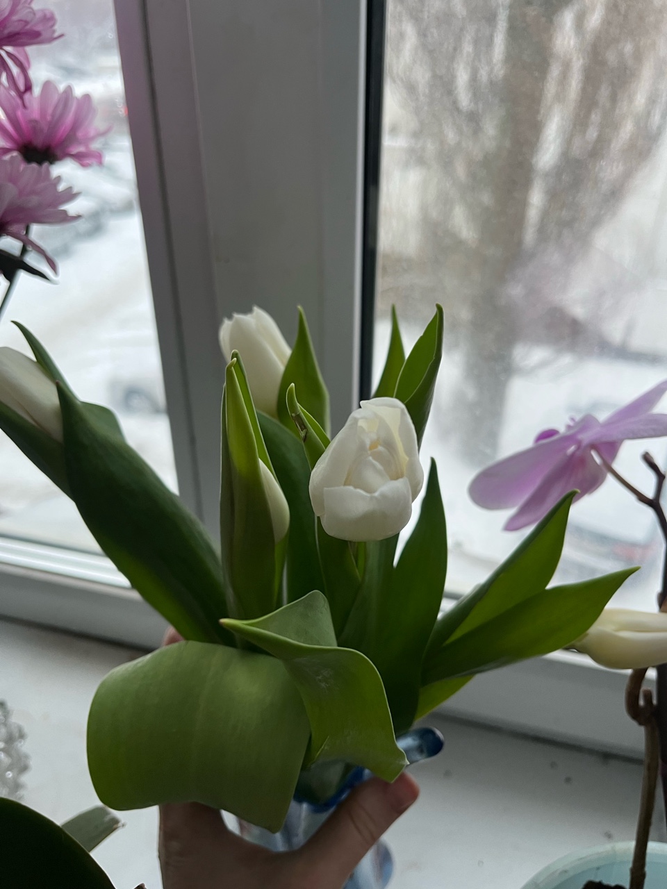  в LOOKY — #мойуголок