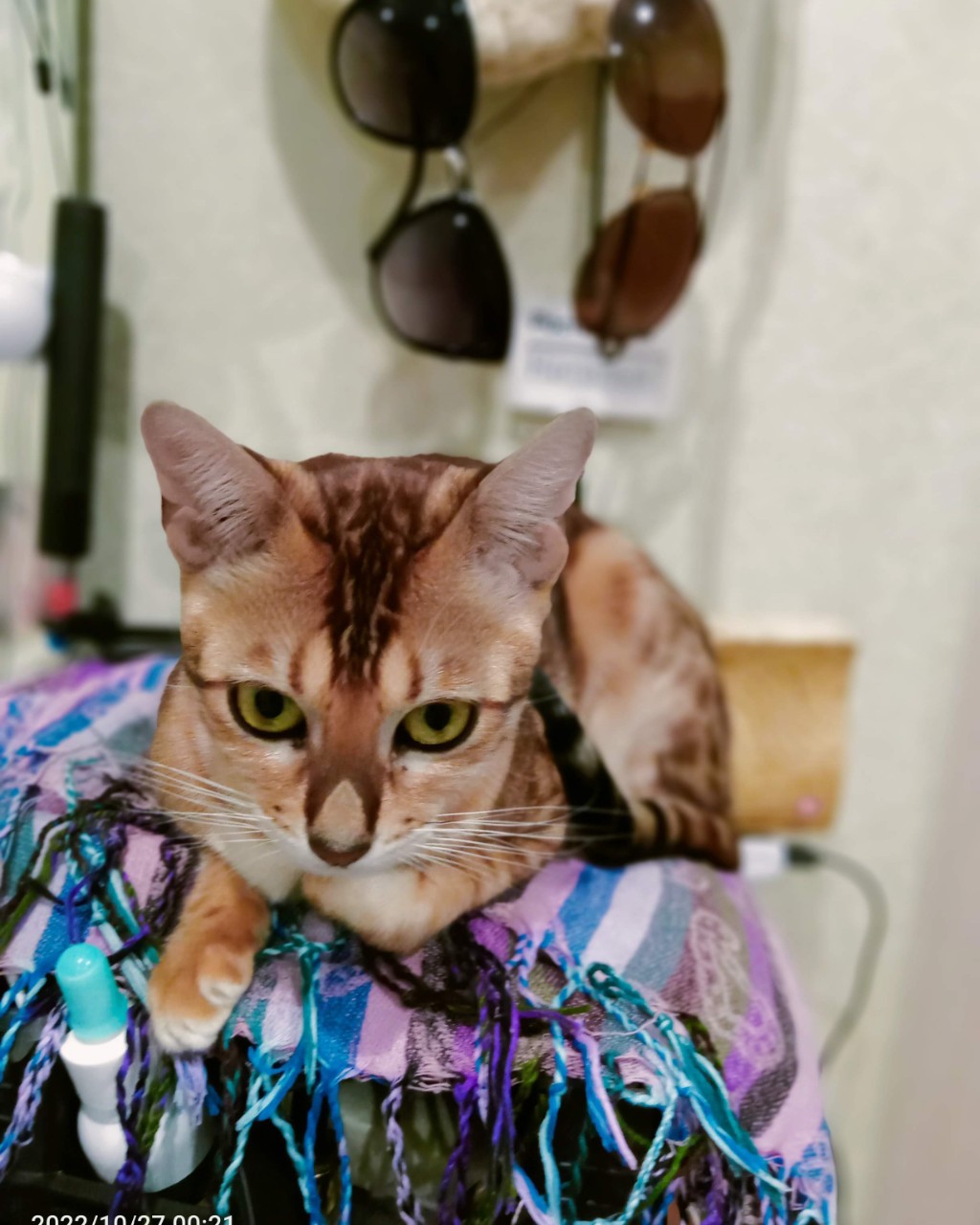Наталья in LOOKY