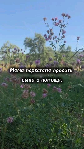 ВОЛК СЕРЫЙ в LOOKY — публикация