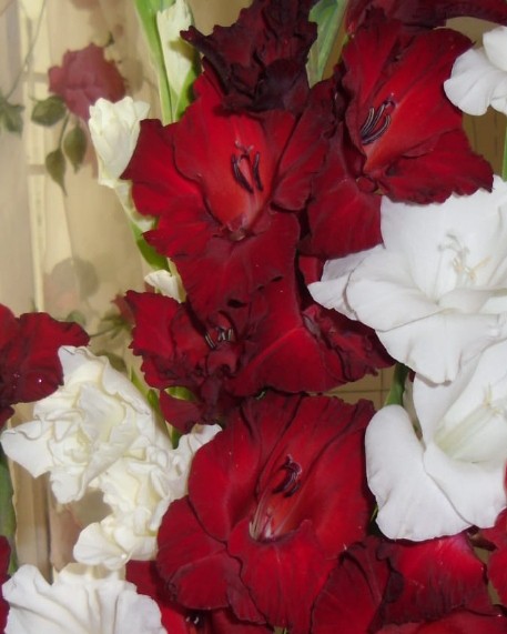 Элина Прилепкина в LOOKY — фото 7