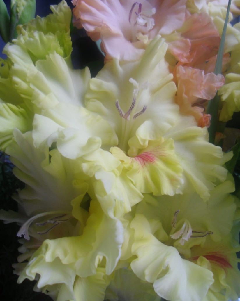 Элина Прилепкина в LOOKY — фото 9