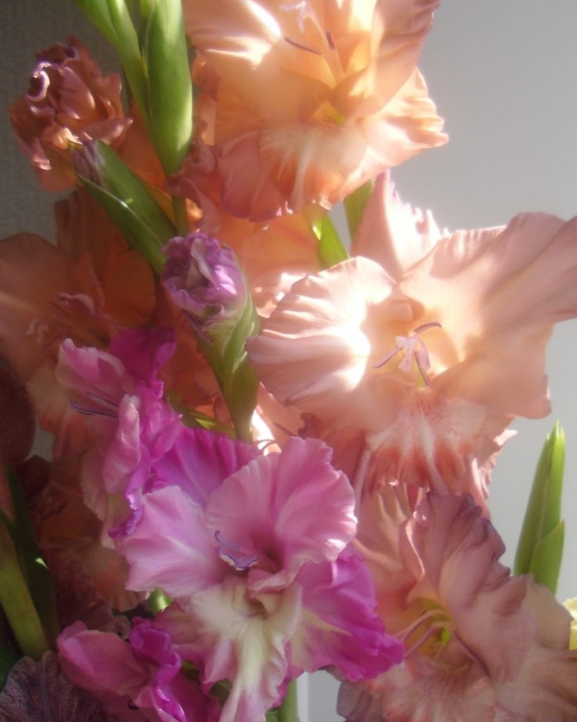 Элина Прилепкина в LOOKY — фото 4