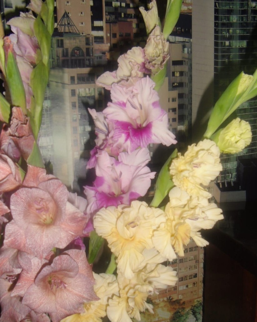 Элина Прилепкина в LOOKY — фото 2