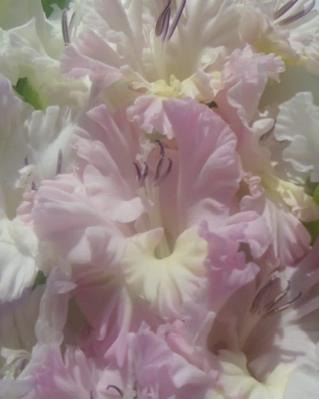 Элина Прилепкина в LOOKY — фото 6