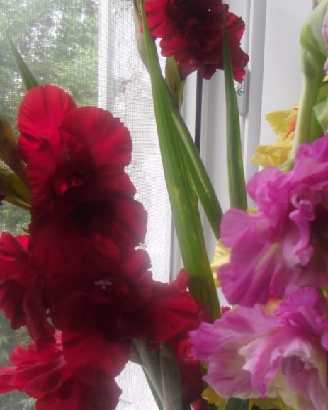 Элина Прилепкина в LOOKY — фото 10