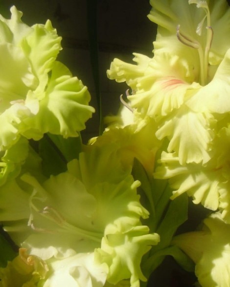 Элина Прилепкина в LOOKY — фото 5