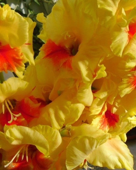 Элина Прилепкина в LOOKY — фото 8