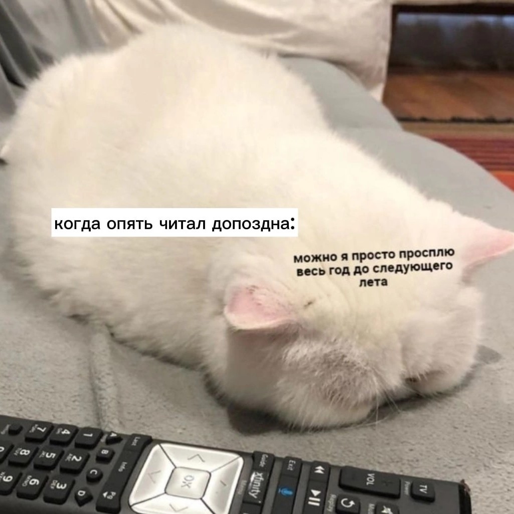 #жизненно #юмор #жиза #looky_юмор [#looky_контент ](looky_контент)[#looky_блогер ](looky_блогер)#books [#bookstagram ](bookstagram)[#bookworm ](bookworm)#книжныйблогер #книги #книголюбы #книголюб #книгоман
