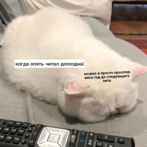 BookloverSasha в LOOKY. #жизненно,#юмор,#жиза,#looky_юмор,#книги,#книголюбы,#книголюб,#книгоман. #жизненно #юмор #жиз...