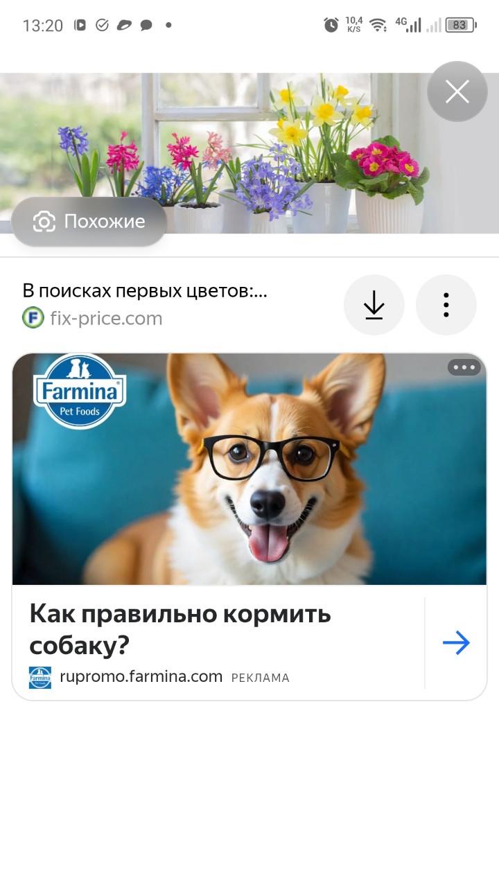 Looky_176470500629761
