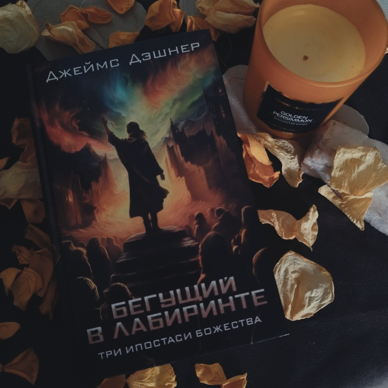 Описание:Новая книга по вселенной культового цикла «Бегущий в лабиринте». Продолжение романа «Разрезающий лабиринт».
Постапокалиптическая Америка — по-прежнему не самый лучший из миров.
Потомки глэйдеров продолжают свой путь на Аляску, но обстоятельства вынуждают Айзека и Сабину разделить отряд. Случайная встреча приводит Айзека к страшному открытию — лекарство от смерти работает уже не так эффективно, как прежде, и иммуны уже не так устойчивы перед вирусом.