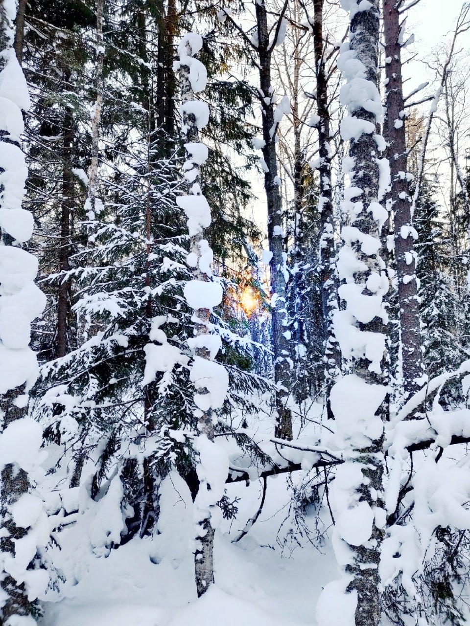Виктор in LOOKY. #весна
#карелия,#karelia,#karjala,#живувкарелии,#веснавпетрозаводске
#petroskoi,#petrozavodsk,#петрозаводск,#природа,#природакарелии,#photonature,#naturephoto
#looky,#looky_official,#LOOKY_контент,#looky_you,#you,#looky_топ. Карелия
#веснавкарел...