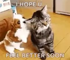 Крякощябрик в LOOKY. . 