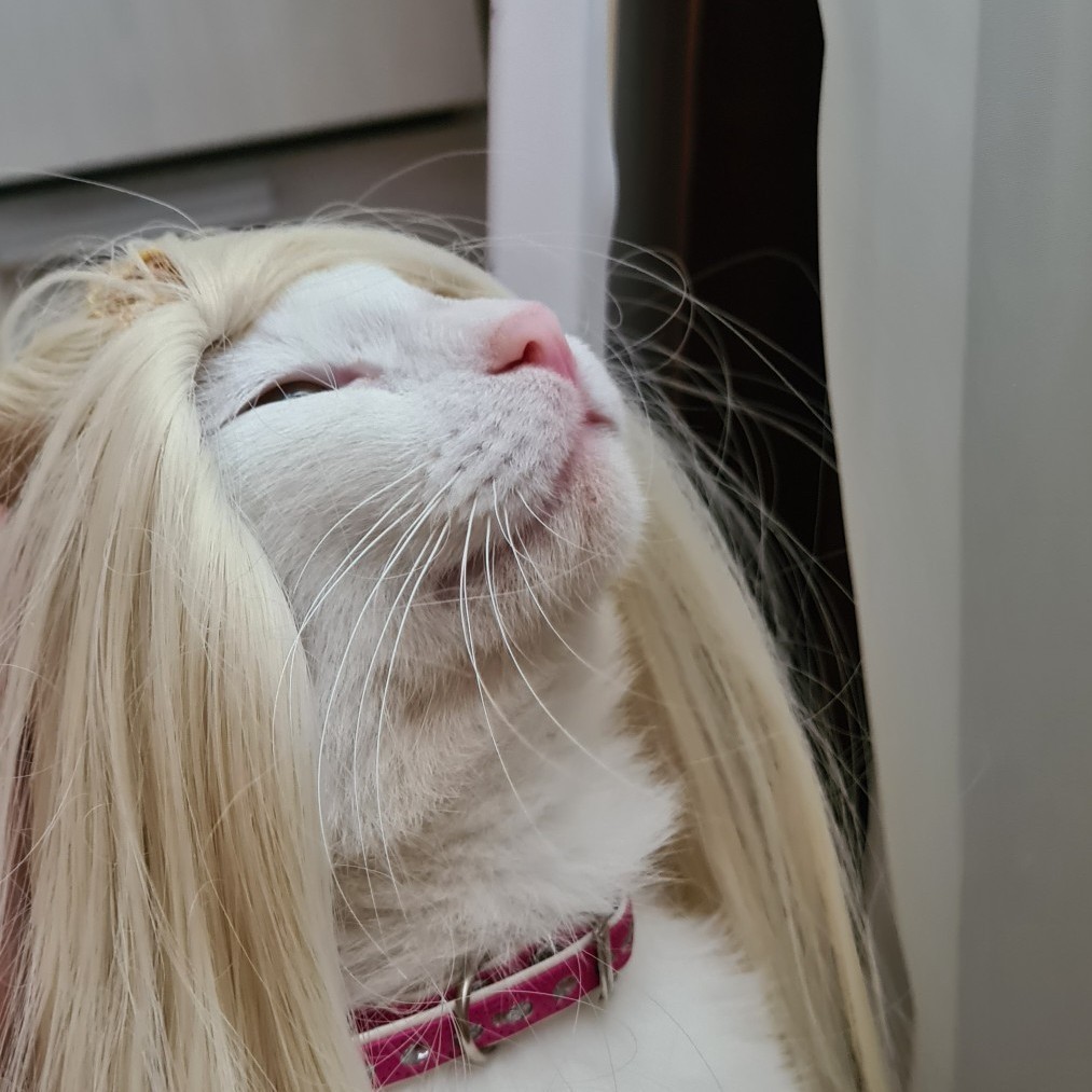 stasyreichtum в LOOKY — Как я себя чувствую, когда выхожу из салона красоты 💅 🧝‍♀️