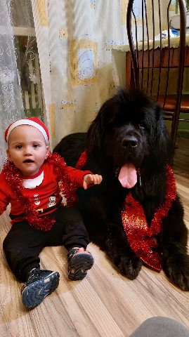 Looky_1677319190596 в LOOKY. . Ура! С Новым годом, ...