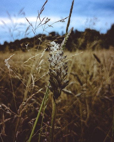 Mihnovets в LOOKY. #photo,#photoonphone,#nature. #photo [#photography...