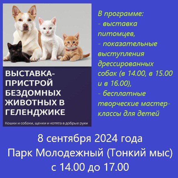 s_sobakoy_na_more в LOOKY — 📍На Тонком мысе в парке "Молодёжный" состоится первая Выста