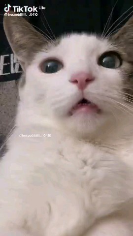 nitase87 в LOOKY. . 