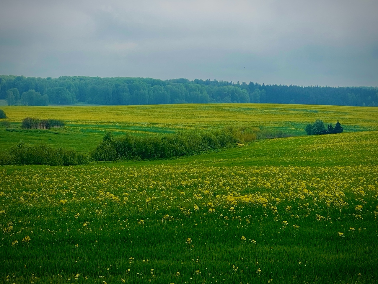 Странно слышать когда говорят, что ИИ заменит фотографов.
