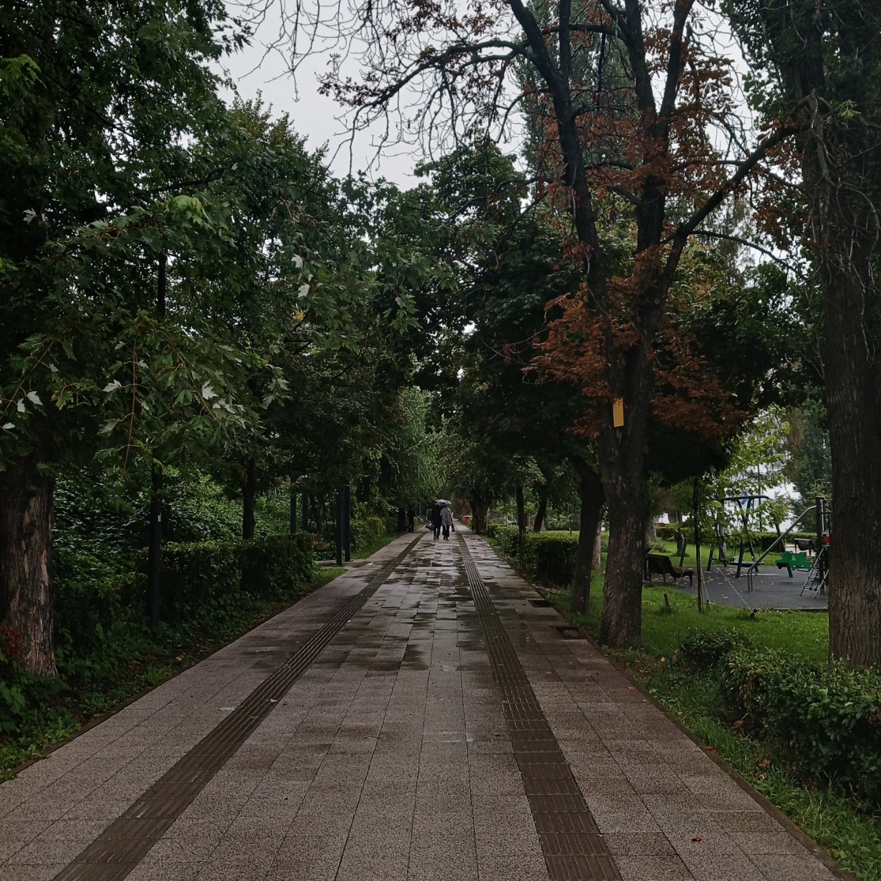 lisavetabylisa в LOOKY — 🌳🍁🍂