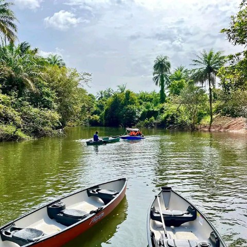 mamy Amos 12 в LOOKY. . Guinea Conakry 🇬🇳