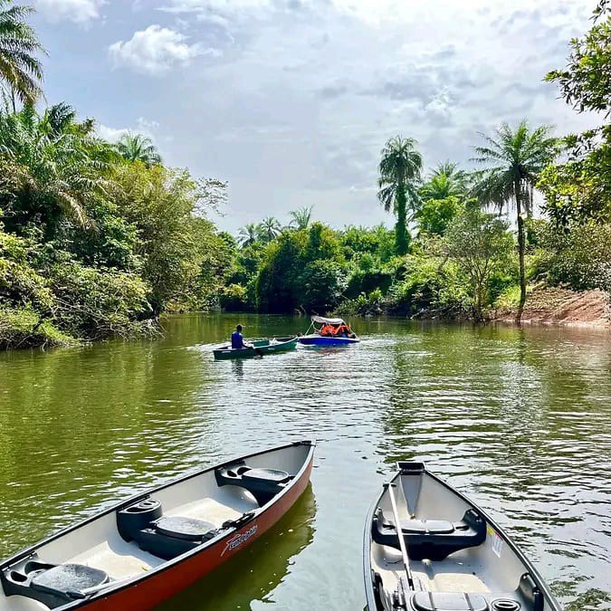 mamy Amos 12 в LOOKY — Guinea Conakry 🇬🇳