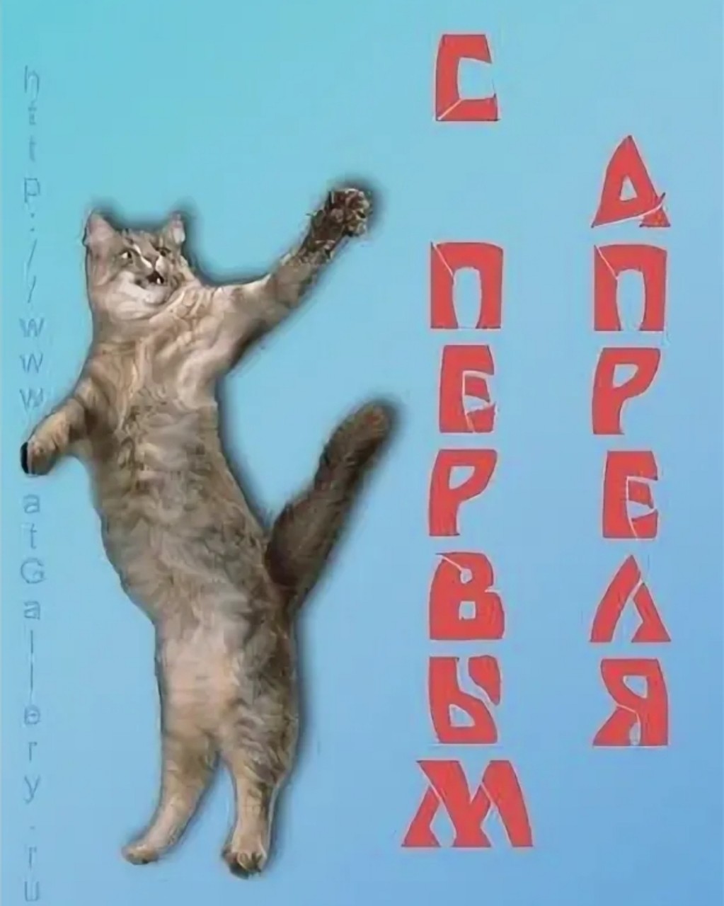 #Мемы