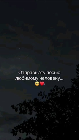 ВОЛК СЕРЫЙ в LOOKY — публикация