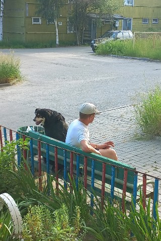 nastyakylishkina в LOOKY. . Человек собаке друг