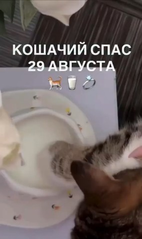 Вячеслав Кузнецов в LOOKY — Хорошего вечера 🥰