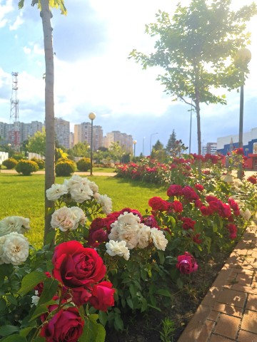 Alienka2182 в LOOKY. . Перед грозой