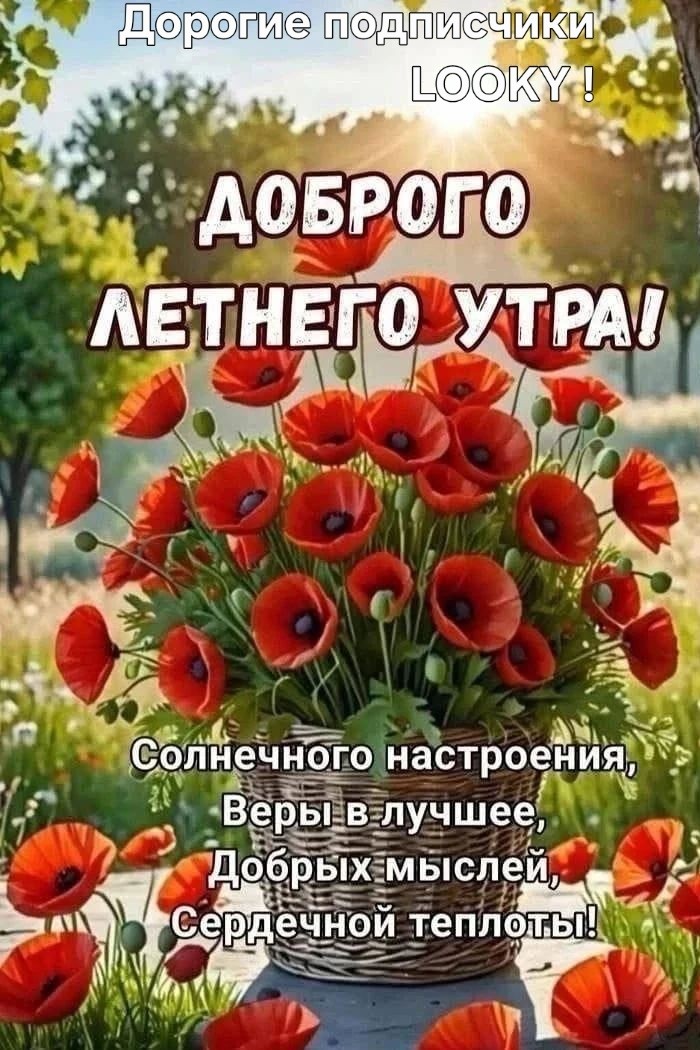 Looky_177521319440383 в LOOKY — публикация