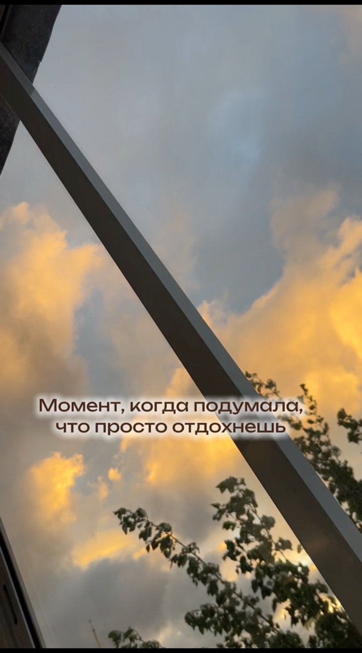 Собака Бэтмен в LOOKY. #263835222. Только думаешь, вот ...