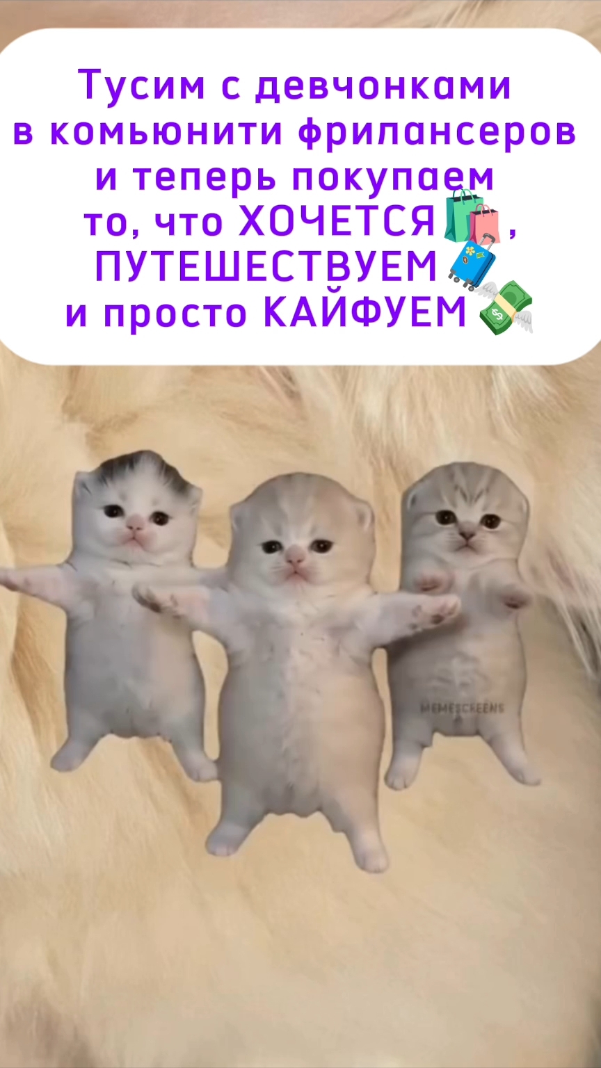 Настя_Кисс в LOOKY. #лучшаяверсиясебя,#открываюмир,#мирденег,#фриланс,#денежныйдекрет,#заработоконлайнн. Забудь про счёт дене...