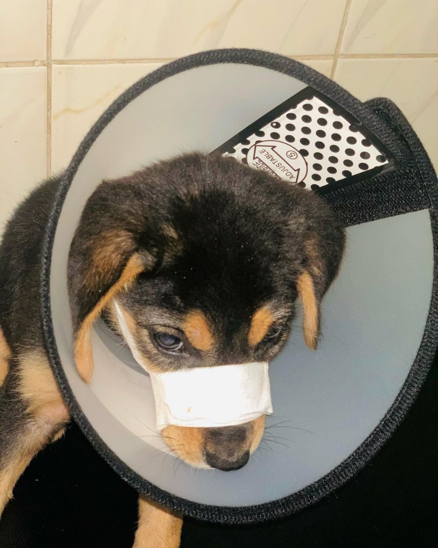 Update of Ron