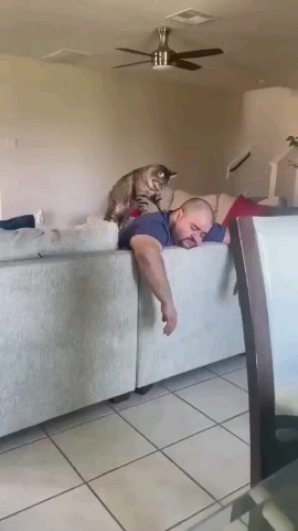 vetklinika.brb в LOOKY. . Сразу видно-хороший ...
